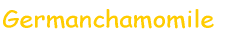 �W���[�}���J���~�[��